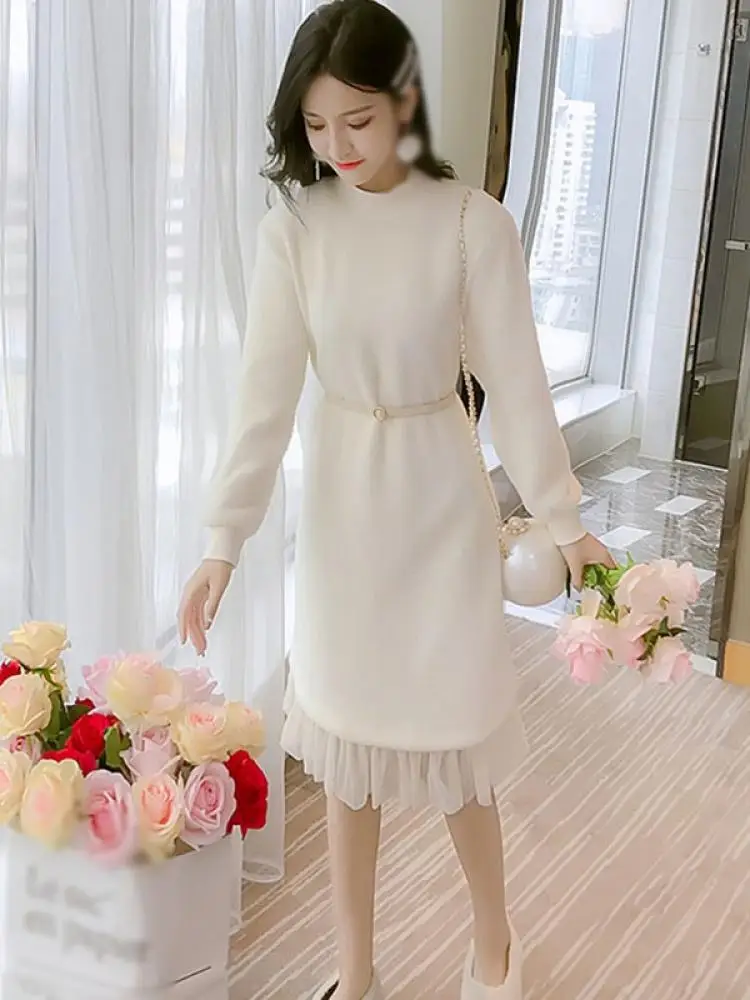 

Autumn Ladies Fashion Korean Temperament Elegant Lady Plush Mesh Skirt Design Sense Long-Sleeved Dress White