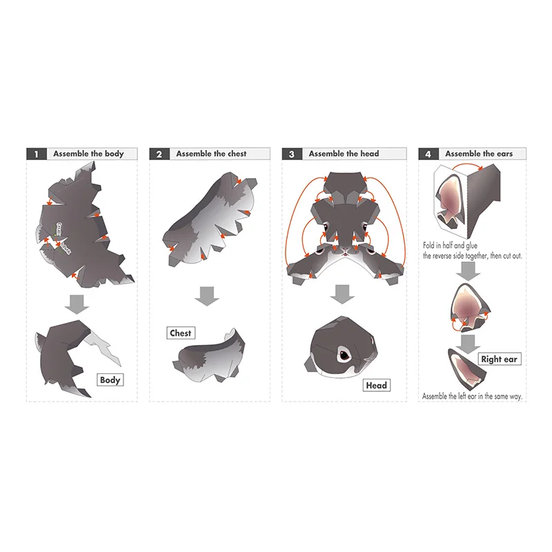 Голландский карликовый кролик фотография Складная мини-модель 3D из бумаги