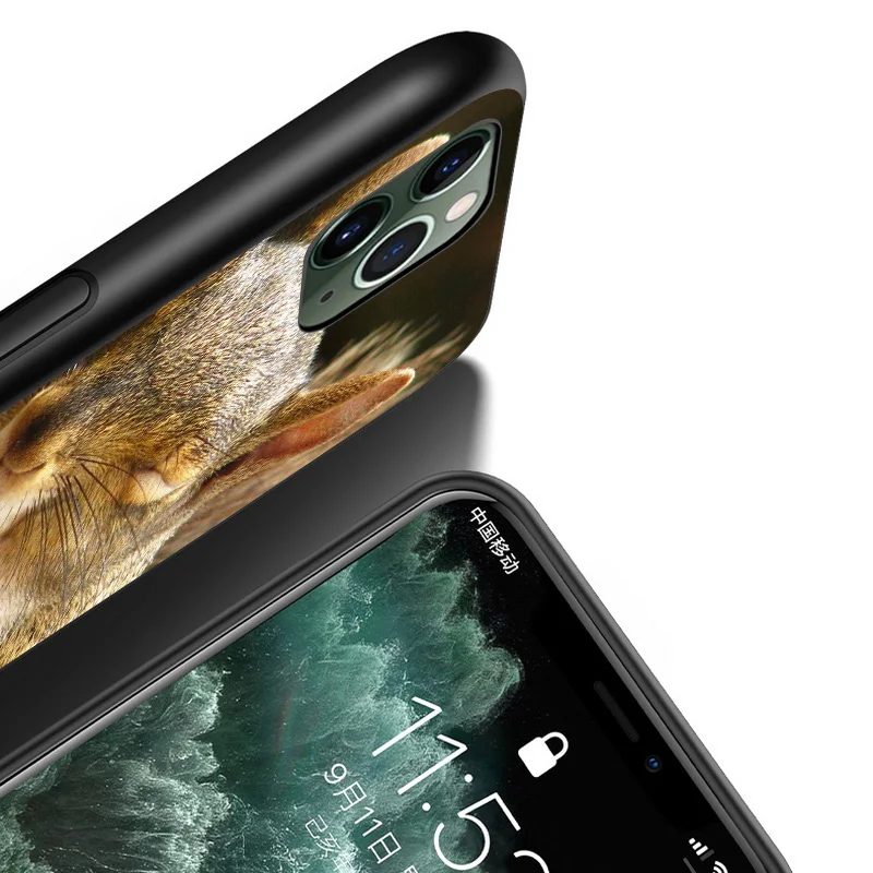 

Cute Animal Squirrel For Apple iPhone 12 Mini 11 XS Pro Max XR X 8 7 6 6S Plus 5 5S SE 2020 Black Phone Case