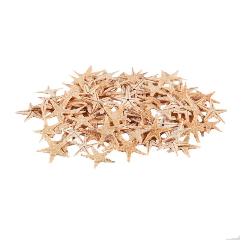 

Small Starfish Star Sea Shell Beach Craft 0.4 inch-1.2 inch 90 Pcs