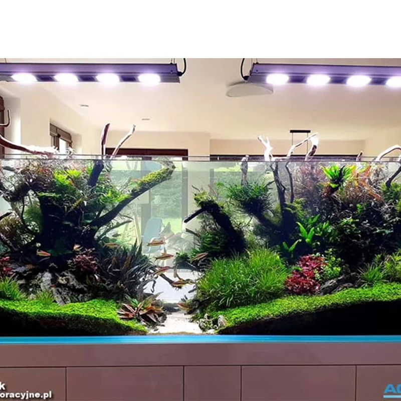 구매 전문 식물 성장 조명 물고기 탱크 조명 전체 스펙트럼 수족관 조사 액세서리 LED 조명 장식 램프