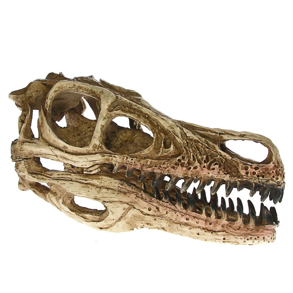 Высокоточная обучающая модель [MGT] Velociraptor Fossil Resin Skull Dinosaur череп динозавра