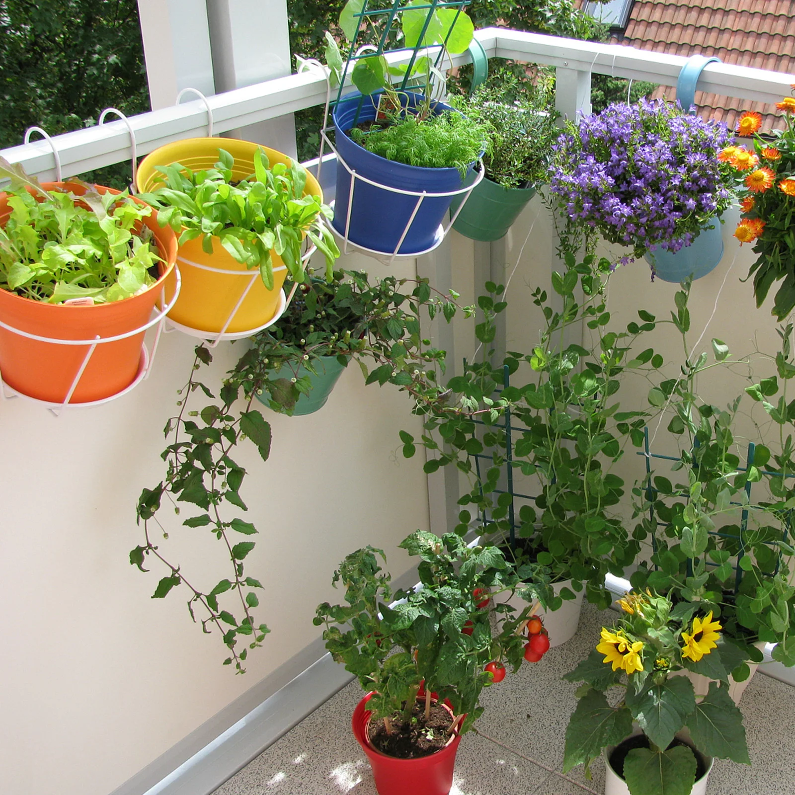 

Pot Stand Holder For Indoor And Outdoor Use Detachable Round Flower Hanging Frame