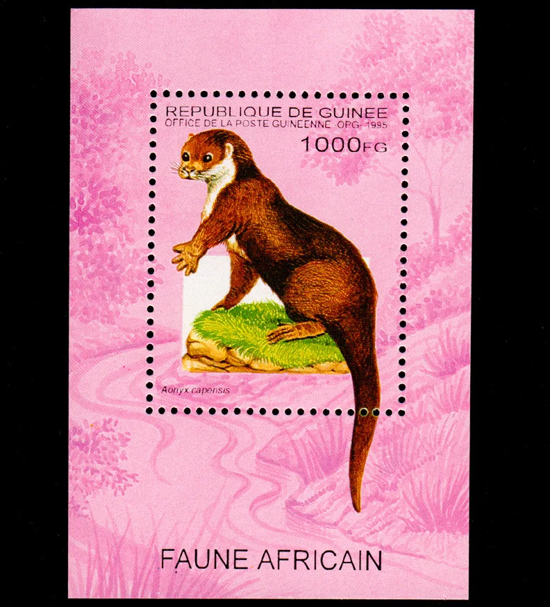 

1 лист, Новый штамп почты Гвинеи 1995, африканская выдра, сувенир печати на листе MNH