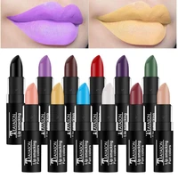 12 colors matte lipstick tubes sexy red brown pigments makeup waterproof long lasting profissional lipsticks