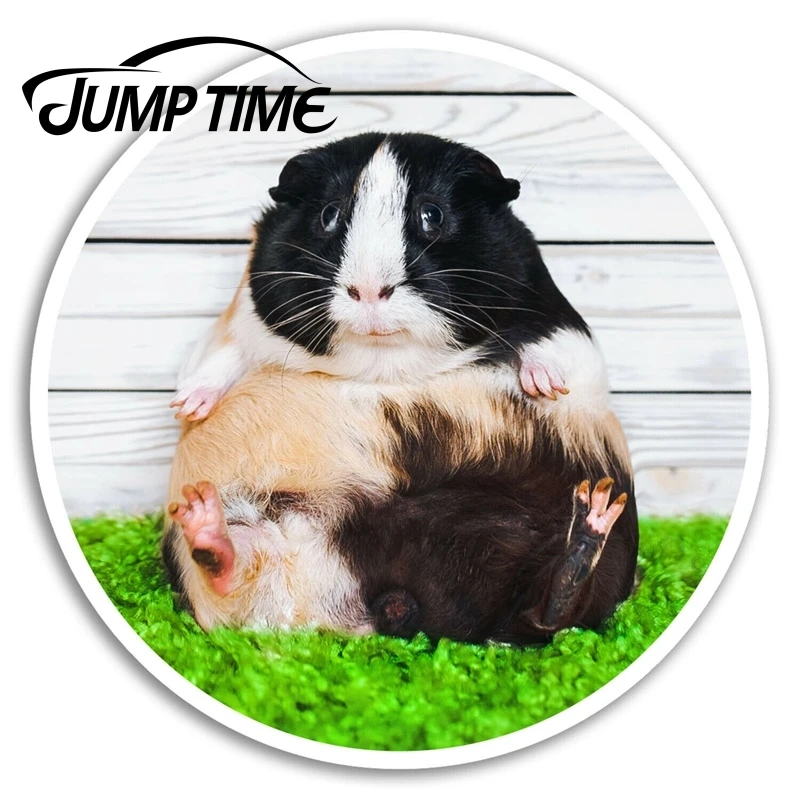

Jump Time Funny Guinea Pig Vinyl Stickers Cute Sticker Laptop Luggage Car Assessoires Window Decals Car Wrap DIY