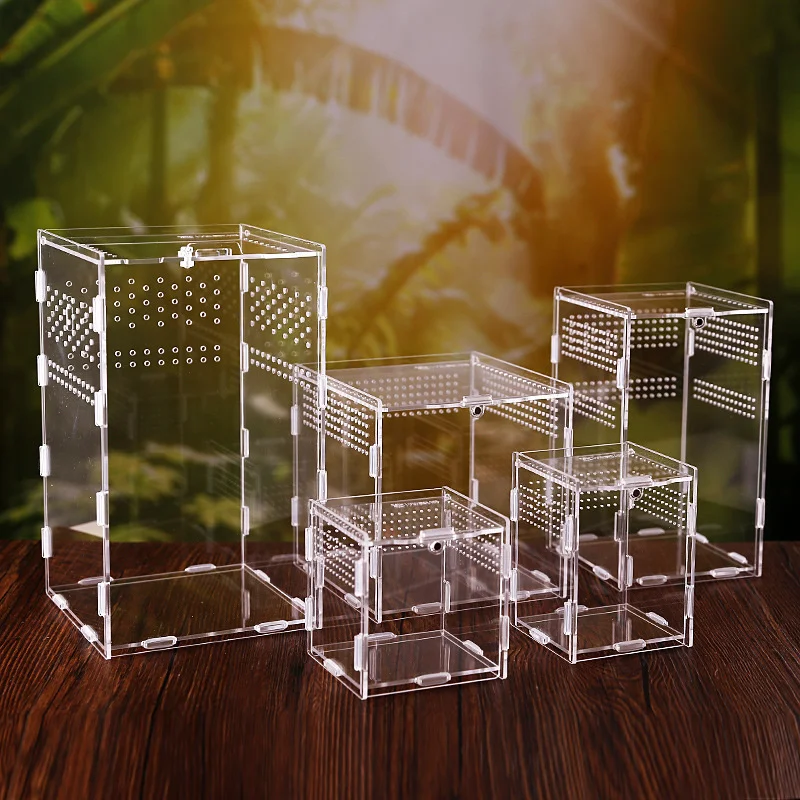 

Reptile Breeding Box Acrylic Spider Lizard Scorpion Enti's Acrylic Assembled Transparent Insect Breathable Terrarium