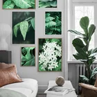 Цветок жасмина, свежий зеленый большой лист растений, настенная живопись на холсте, скандинавские постеры и принты, настенные картины для декора гостиной