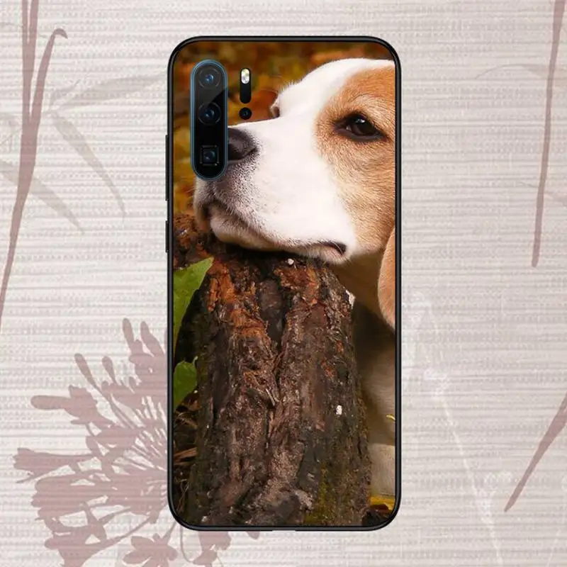 

Beagle animal cute Dog Phone Case For Huawei honor Mate P 9 10 20 30 40 Pro 10i 7 8 a x Lite nova 5t