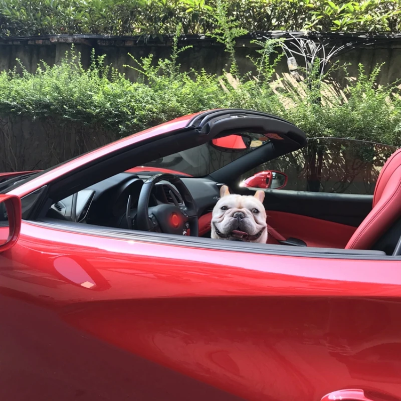 Роскошные Рубашки для собак забавная одежда жилет кошка хлопковая животных