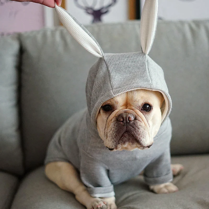 Маленький собачий бутик худи кролик костюмы для животных на Хэллоуин зимний