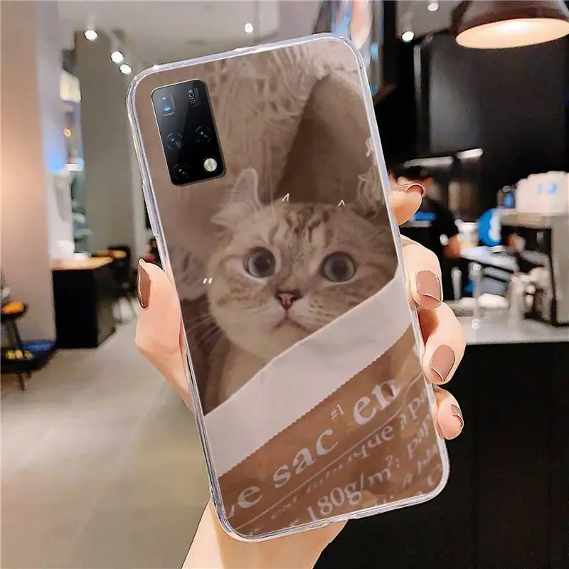 

Cat Cute Animal Phone Case for Samsung Galaxy S20 S10 Plus A21S A51 A71 Clear Cover Note 20 Ultra Lite Fundas Coque