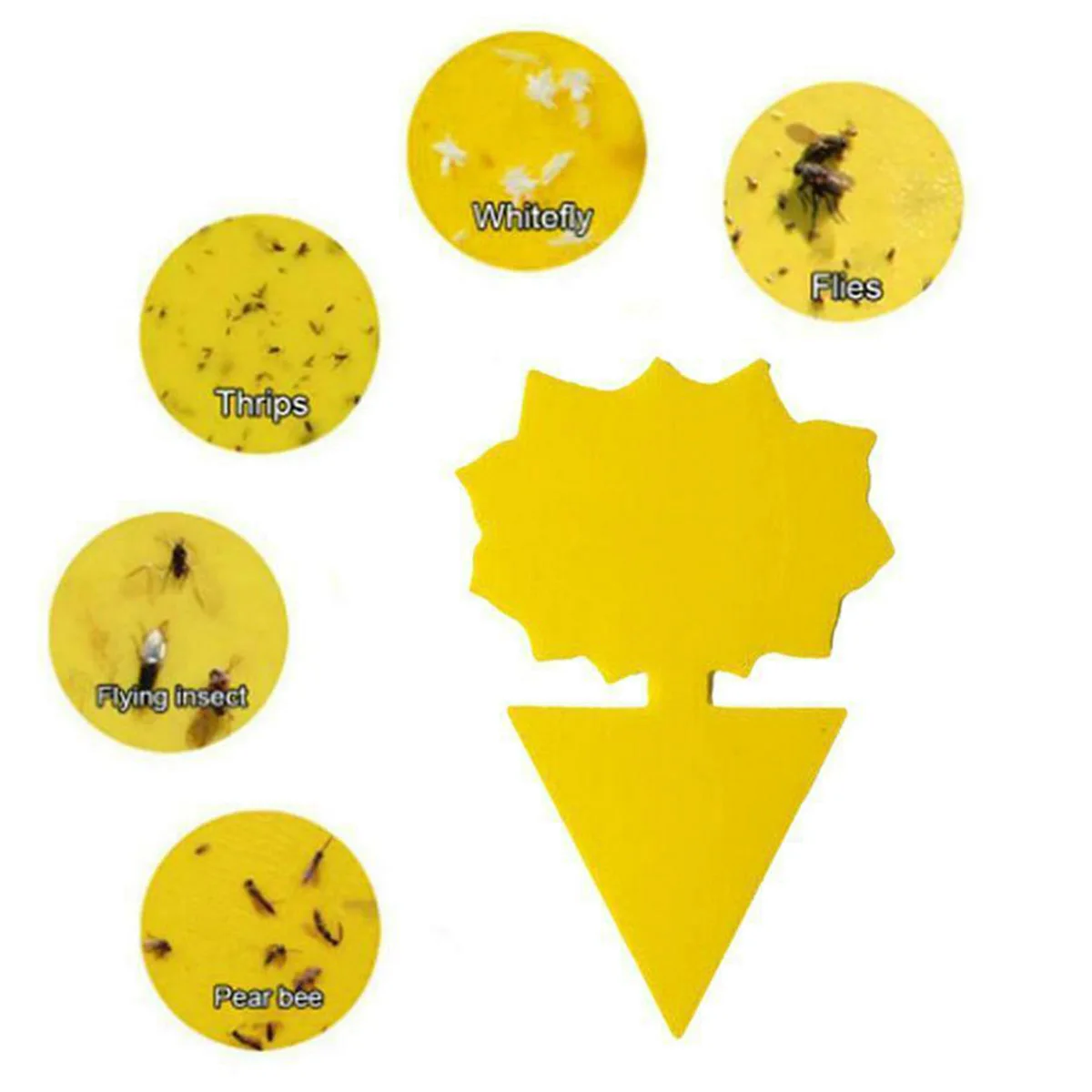 

Flies Sticky Traps Insect Glue Catcher High quality Butterfly Fly Trap