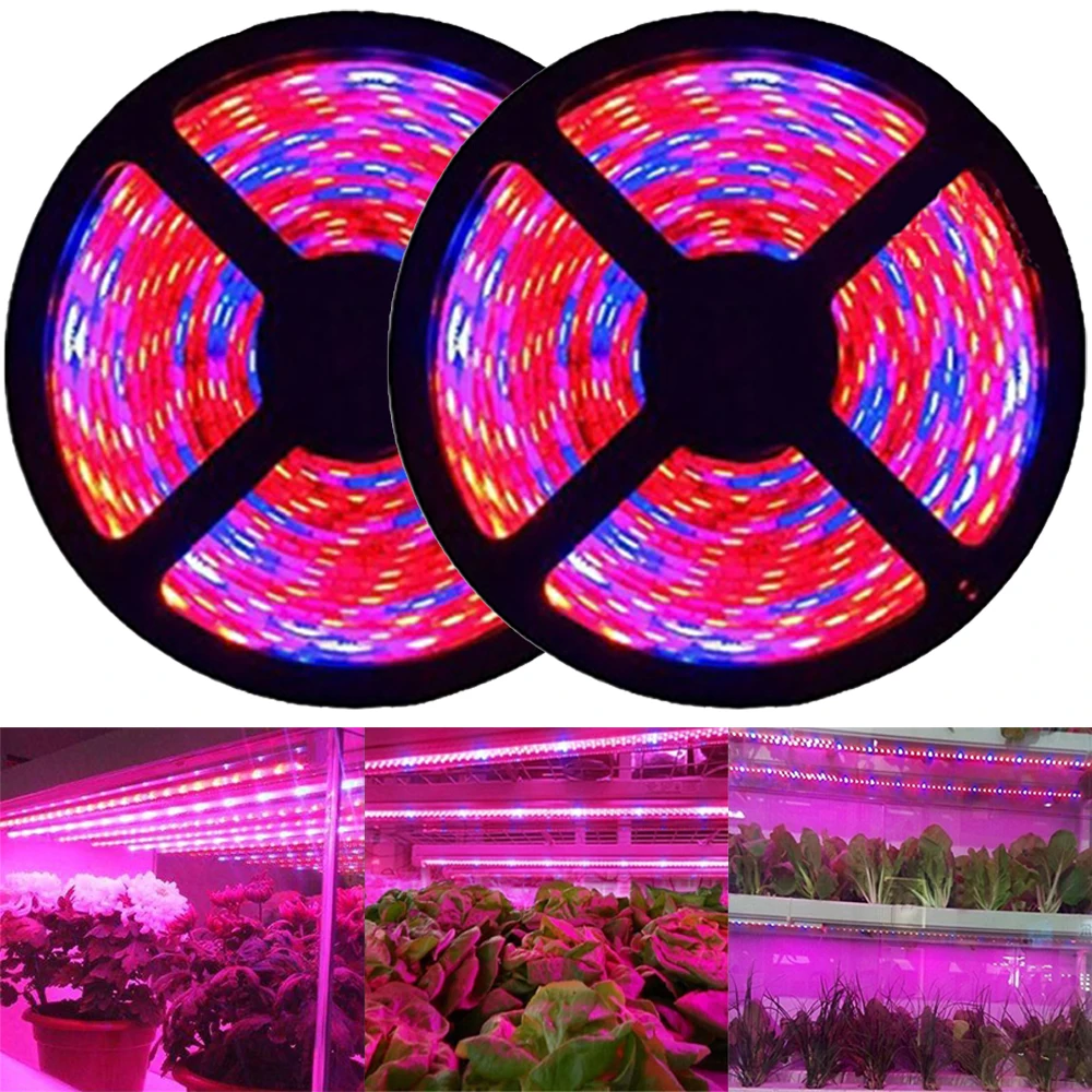 Светодиодная лампа полного спектра для выращивания растений 5 м 5050