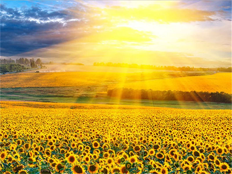 

Набор для рисования по номерам на холсте пейзаж, 40 х50 см