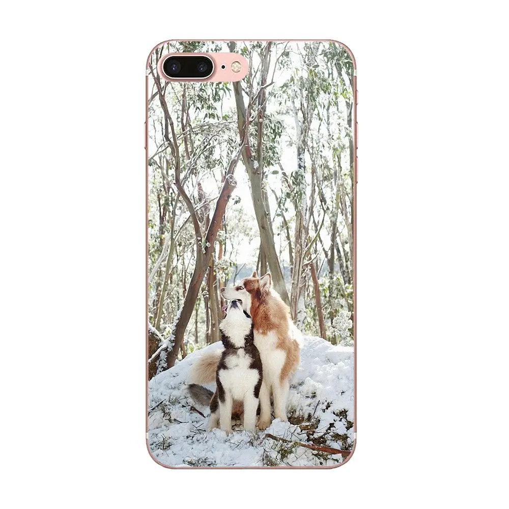 Мягкие чехлы Capa Lovely Animal Husky Puppy для Huawei Honor 4C 5A 5X 6A 6C 6X 7X 9 V8 V10 Mate 7 8 10 P9 P20 Pro Lite Play |