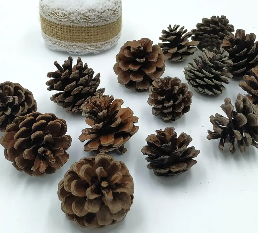 Шишки из натуральной сосны для рождественского декора 20 шт. | Дом и сад