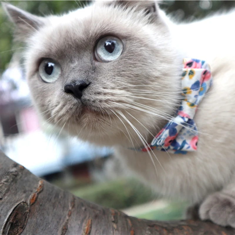 Цветочный узор для домашнего любимца кота ошейник безопасности Пряжка