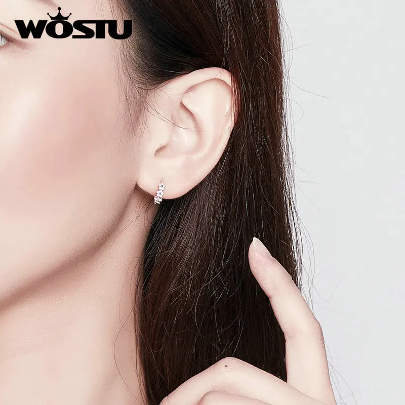 WOSTU цветок серьги гвоздики 925 пробы серебряные серьги для свадьбы и помолвки для женщин модные ювелирные изделия подарки FIE756