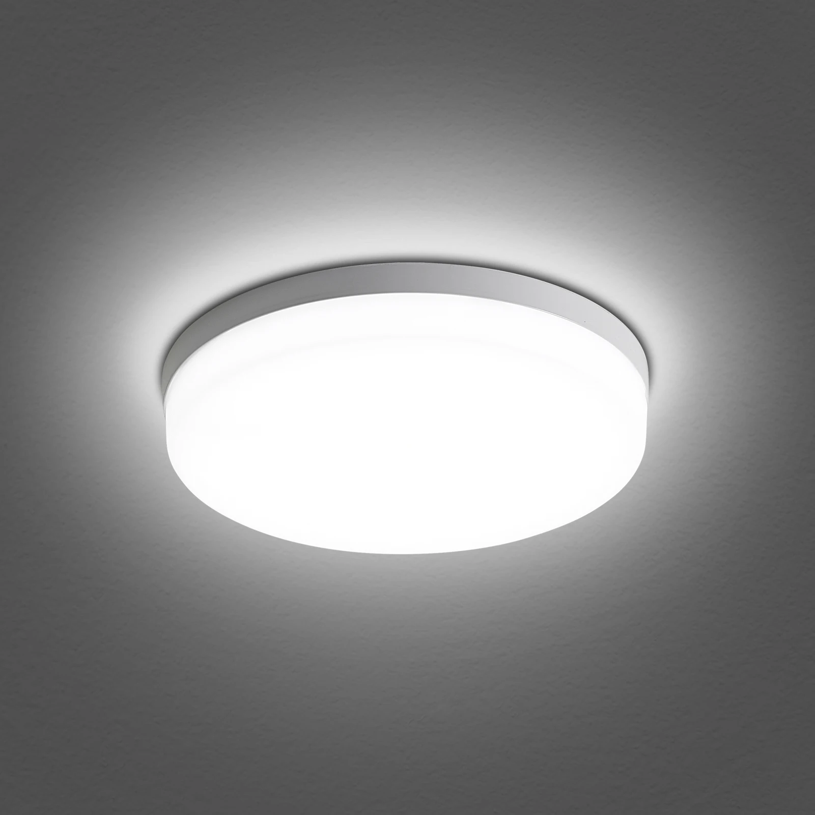 

Modern LEDs Ceiling Light Flush Mounting 18W 24W 36W 48W Round Ceiling Lamp for Kitchen Bedroom Hallway Warm / White Light