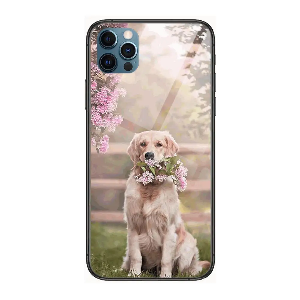 

Teddy Bulldog Pomeranian Corgi Golden dog Cool Fashion Phone Case cover For OPPO A91 9 83 79 92s 5 F9 A7X Reno2 Realme6pro 5