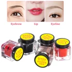 Микроблейдинг перменант тату чернила пигмент для бровей губ тату для начинающих Практика