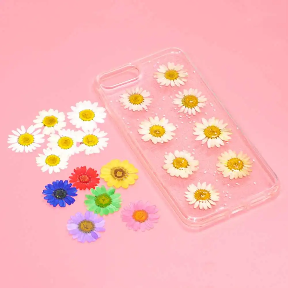 

60pcs Real Pressed Flower Leaf Dried Daisy Flower Resin Nail Jewelry Flower Decals Dry Art Mold Fillings Epoxy Making Beaut