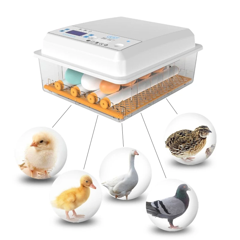 

6 яиц инкубатор автоматический инкубатор машина цифровой дисплей птицы Брудер термостат разведение инкубация фермы инструмент для инкубац...