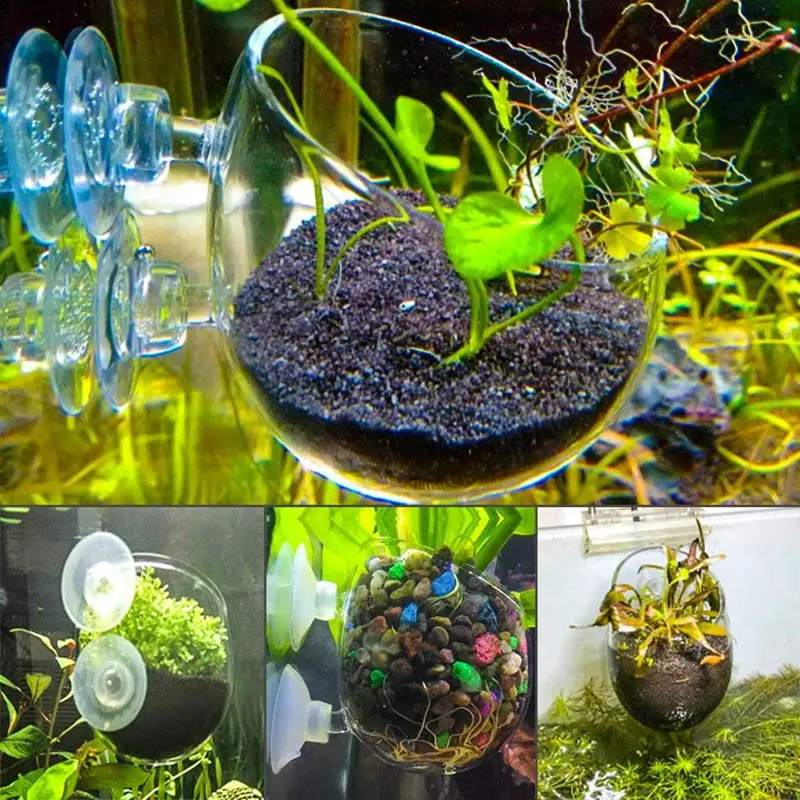 2X стеклянная водная чашка для растений горшок 4X присоски аквариум Aquascape | Дом и