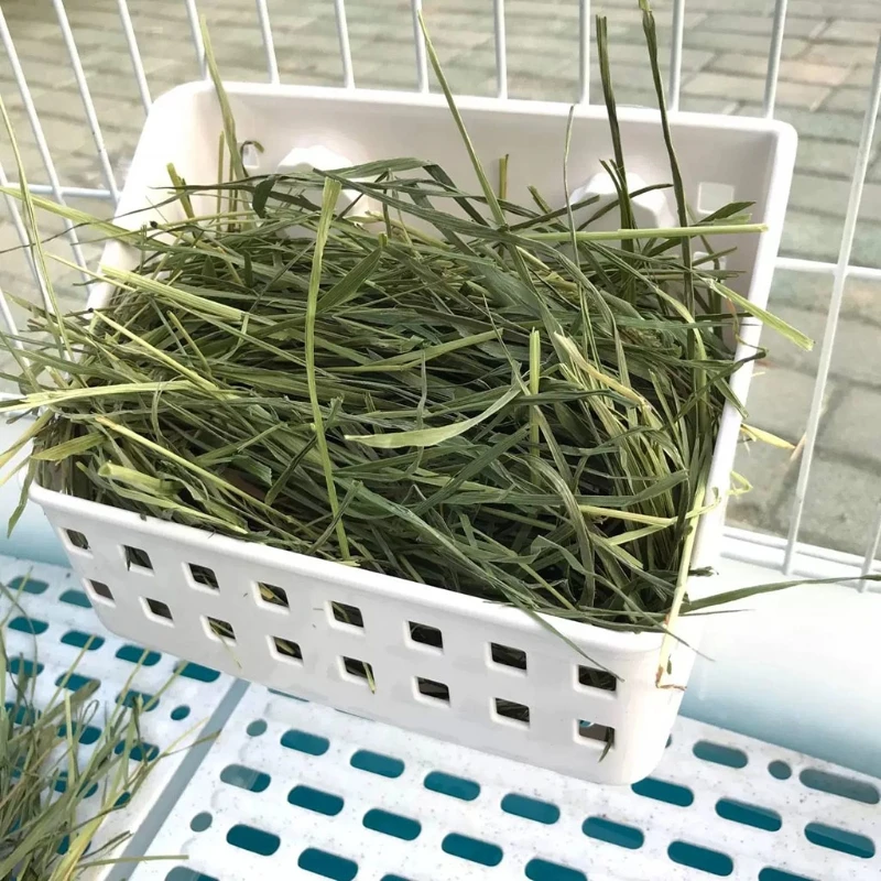 

Rabbit Hay Feeder Hay Manger Small Animal Food Feeder Hay Rack Grass Basket Food Bin Bowl Sucker Fixed