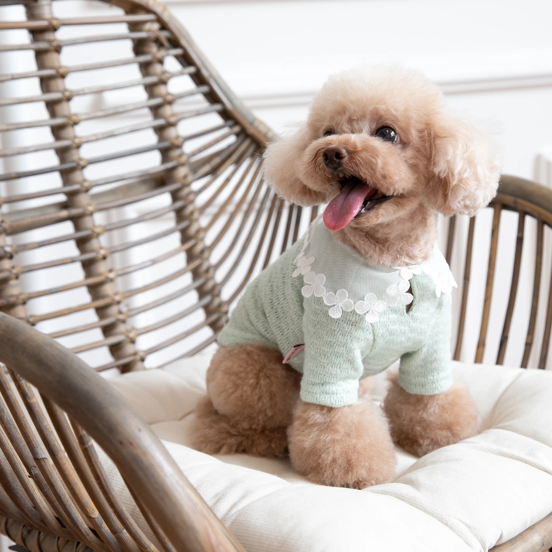 

Autumn And Winter Net Yarn Collar Wool Sweater Pet Clothes Cat And Dog Clothes Teddy Bichon Coat