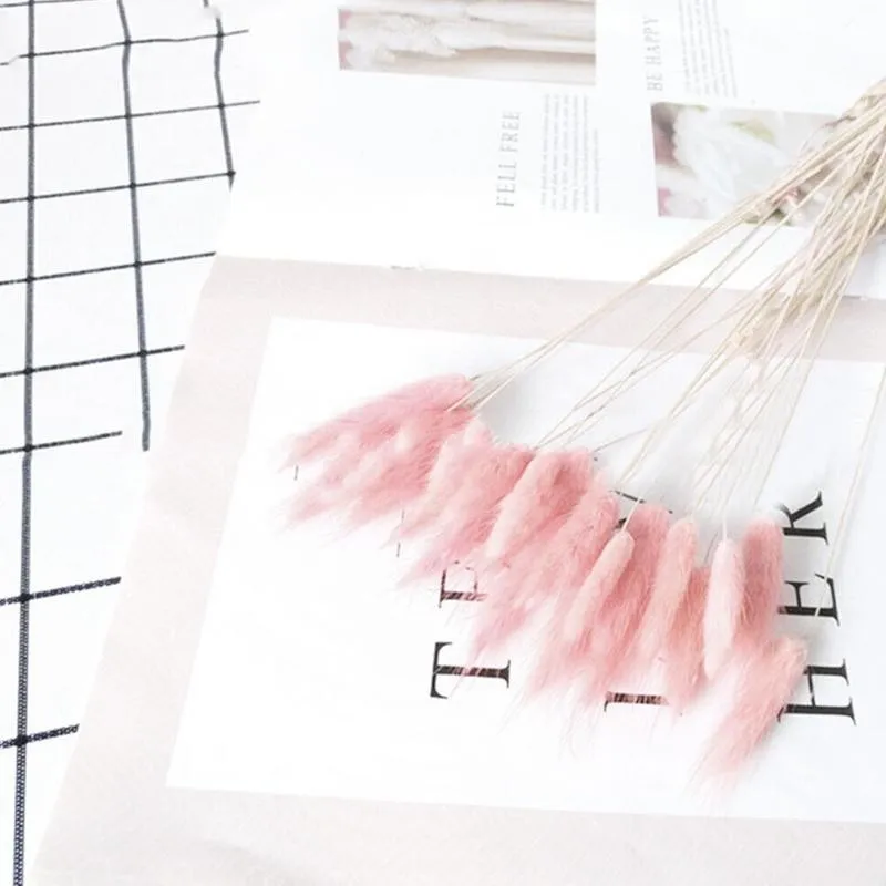 Букет из сушеных цветков кролика натуральный домашние декоративные растения 30