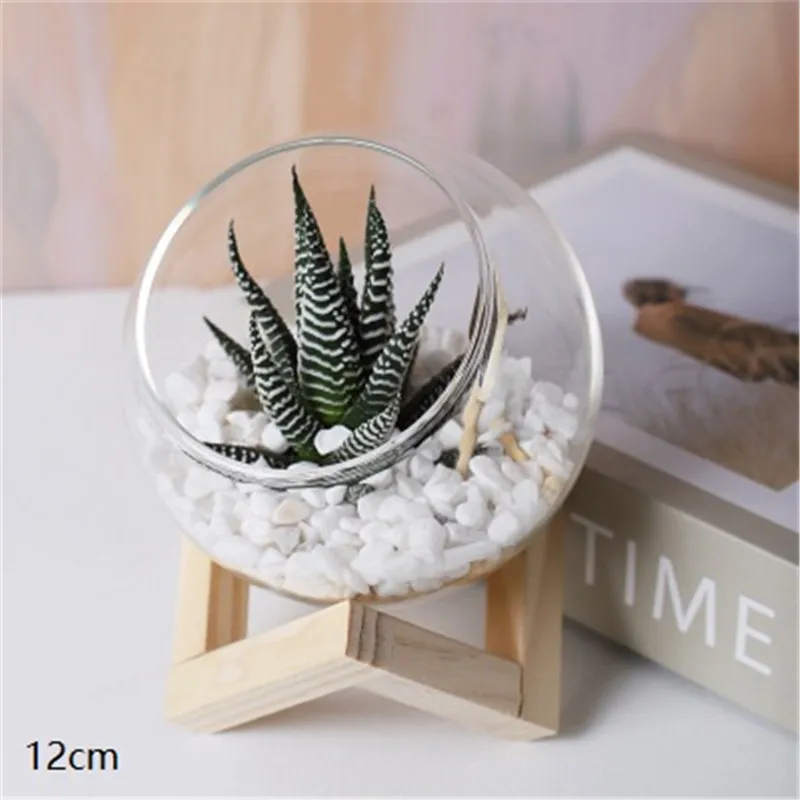 

Clear Glass Vase Round Oblique Mouth Succulent Vase Creative Micro Landscape Moss Plant Pot Holiday Gifts Decoration Ornaments