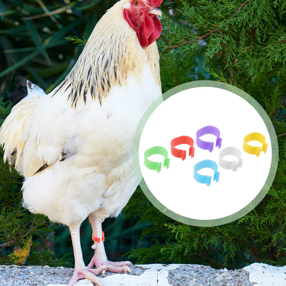 

120Pcs Poultry Foot Rings Identification Rings Duck Feet Rings (Random Color)