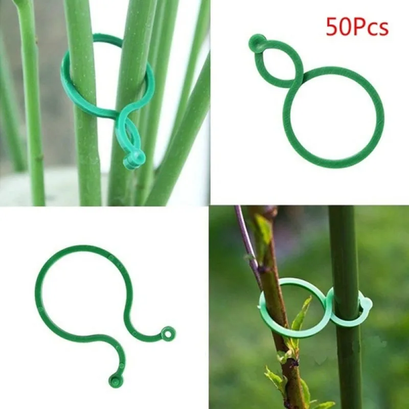 

Gardening 8 bazi buckle ring gourd ring gardening accessories plant stalk tomato flower