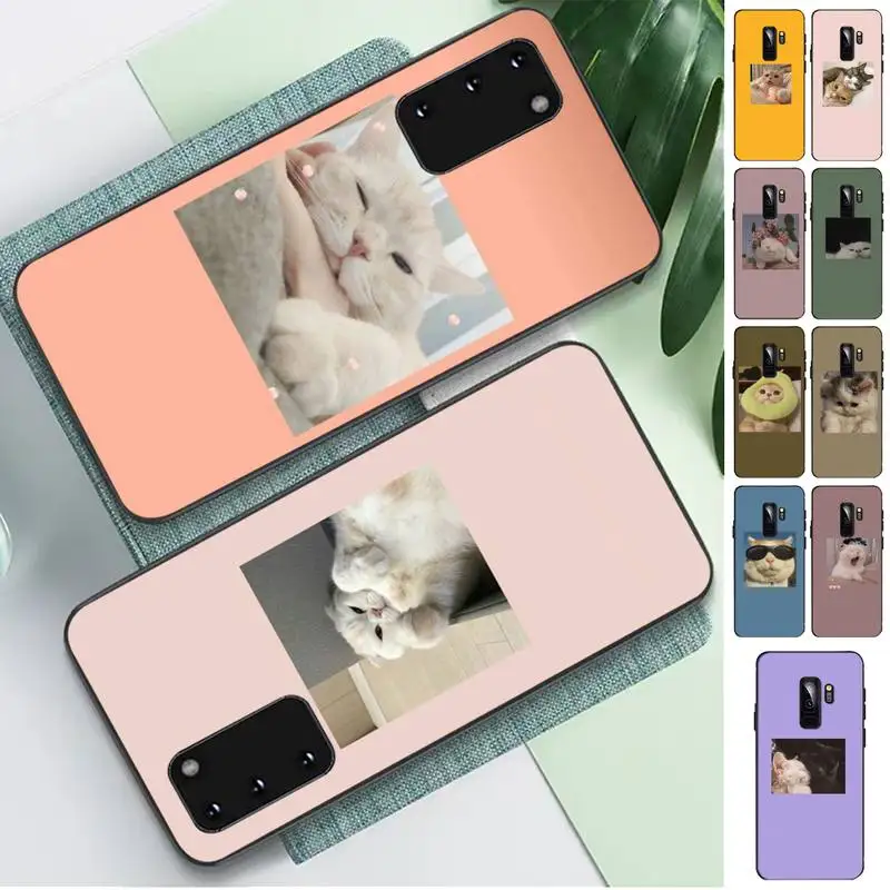 

Cute Cat Phone Case for Samsung S10 21 20 9 8 plus lite S20 UlTRA 7edge