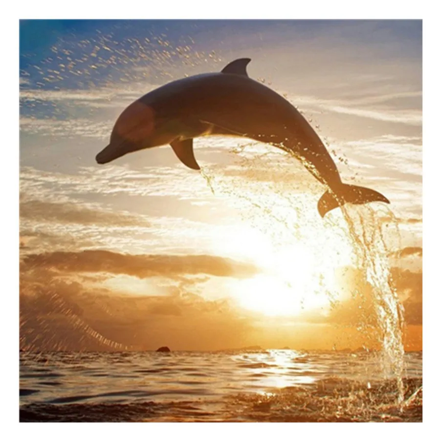 

5D DIY Diamond Painting Dolphin Sunset Full Drill Diamond Embroidery Cross Stitch Rhinestones Mosaic Handmade Decoration Gift