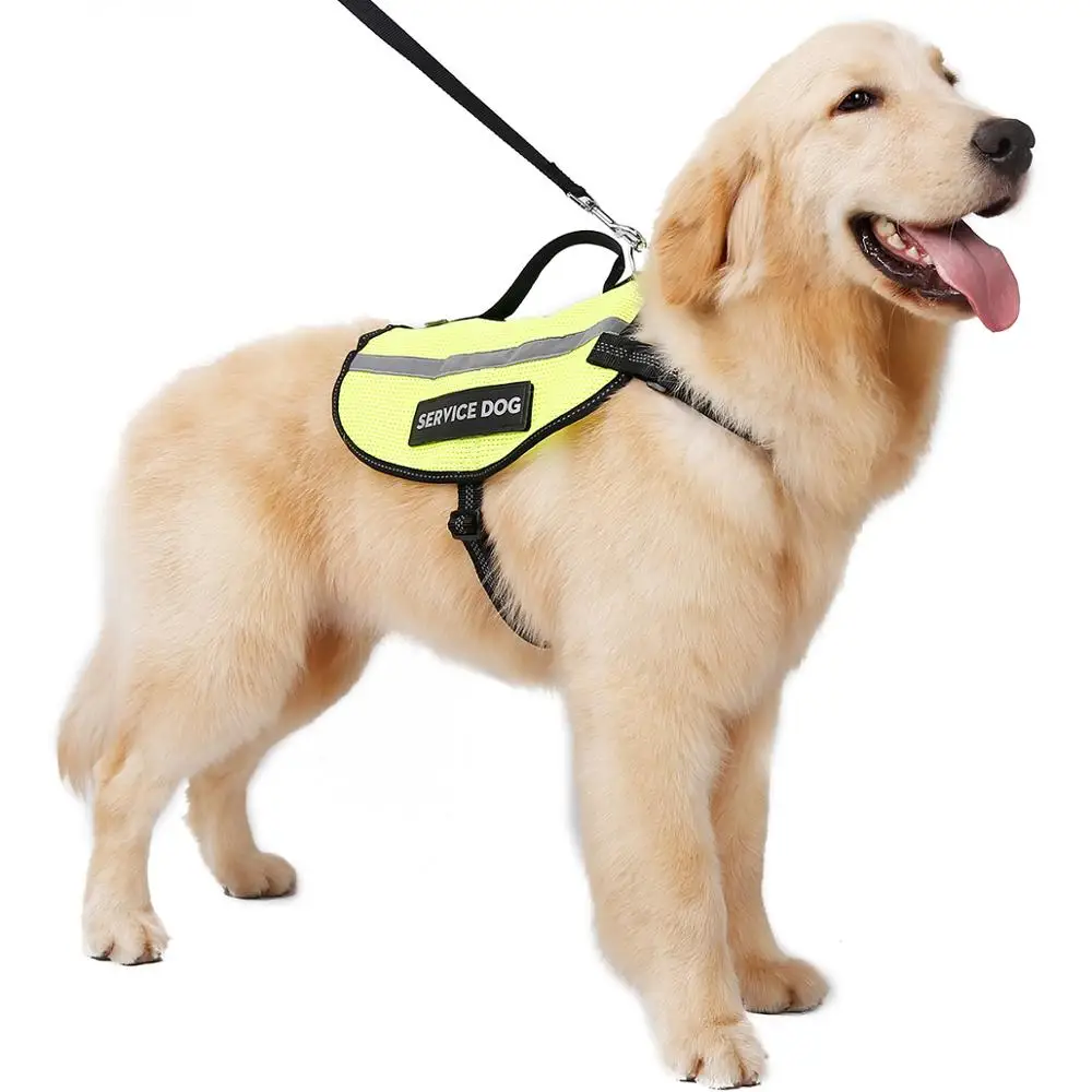 Шлейка для собак светоотражающая шлейка собаки аксессуары жилет Mediano | Дом и сад