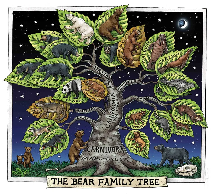 

Jmine Div 5D Family Tree Bear Full Diamond Painting cross stitch kits art High Quality Animal 3D paint by diamonds