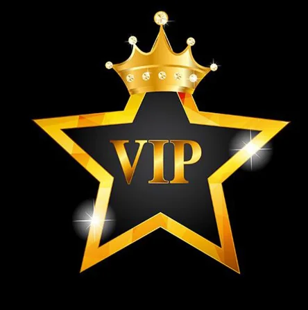 

ВИП-клиент по индивидуальной ссылке на оплату