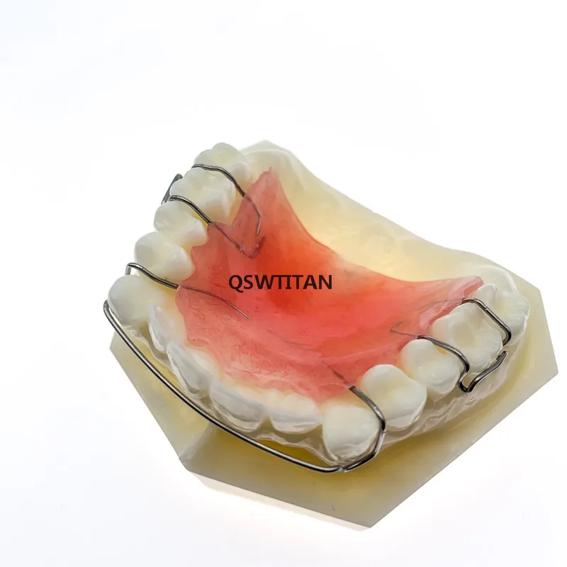 Фиксатор Hawley модель зубов бионатор съемный для стоматологии студенты обучение |