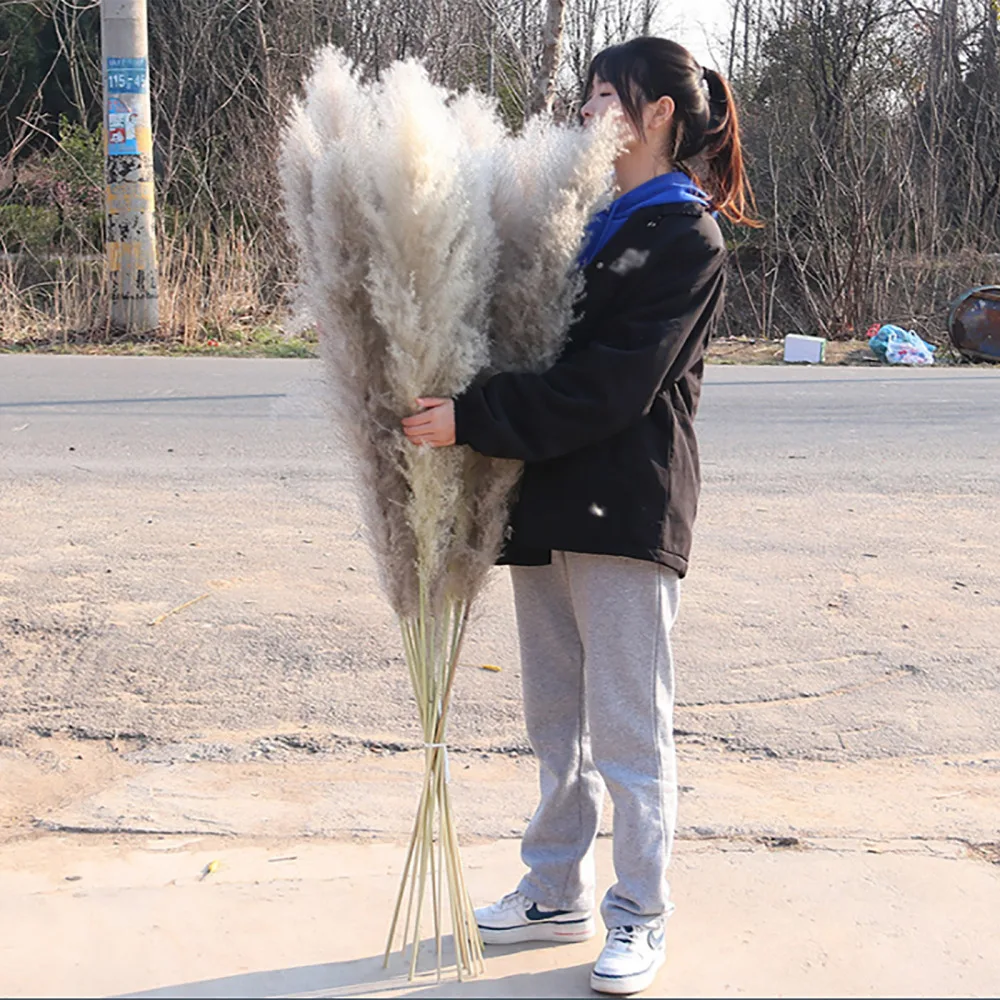 60 см большой тростник пампасная трава для офиса 15 шт. дома пушистые без выпадения