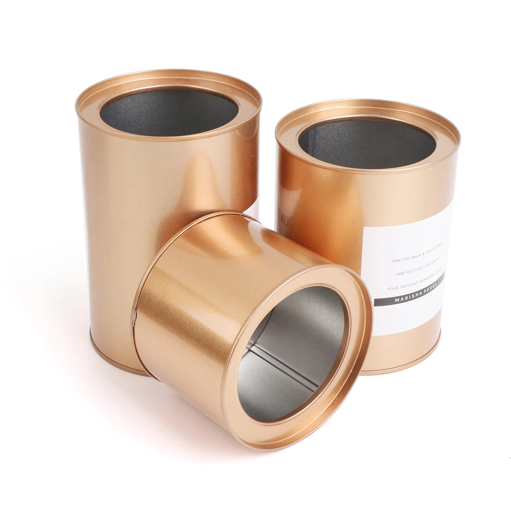 Железный розовое золото нордический резервуар для хранения посадочный горшок