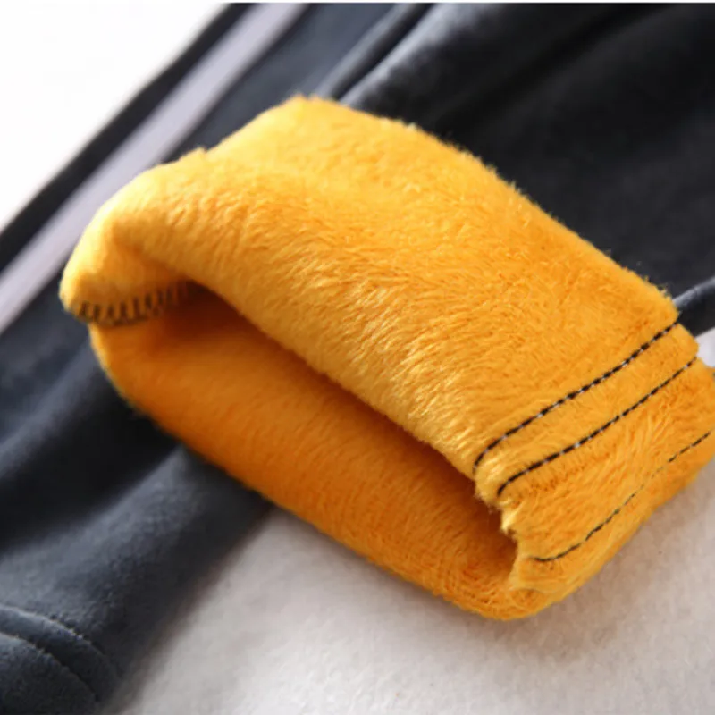 

2020 Hot Sale Plush Autumn And Winter Women's Extra Soft Double Face Fleece Warm And Cold Resistant High Waist Small Leg Pants