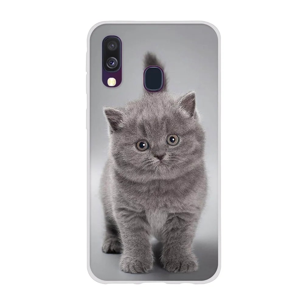 

For Samsung A40 Case A405 TPU Soft Silicone Cute cat Phone Cases For Fundas Samsung Galaxy A40 Case A405F A 40 Cover Coque Capa