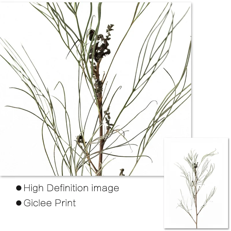 Современные минималистичные плакаты и принты с цветочным принтом в
