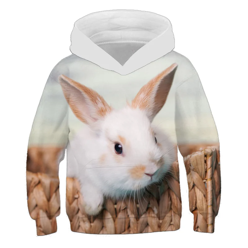 

2021 Autumn Hot Sale Fashion Boys Rabbit 3D Print Sport Hoodies T Shirt Outerwear Children Long Sleeve Casual Hooded Sweatshirt
