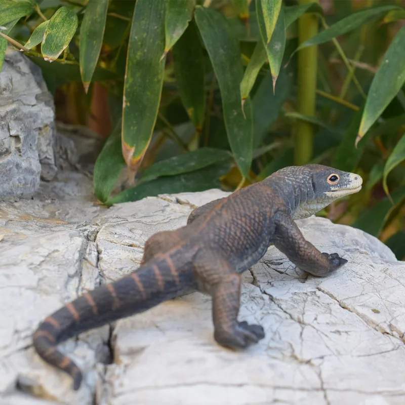 

pvc figure animal lizard Colorado model toy