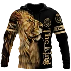 Модная мужская толстовка с 3D принтом льва, уличная одежда в стиле Харадзюку, пуловер, Осенний свитшот, повседневная куртка унисекс, спортивный костюм