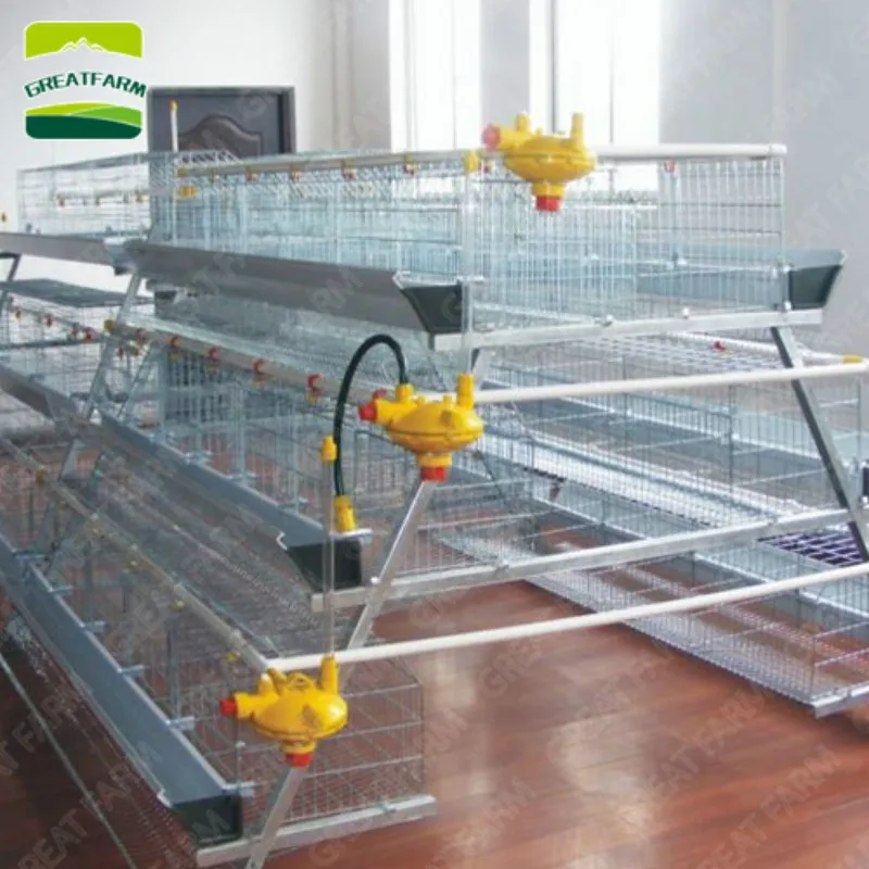 10 комплектов складная куриная клетка для птицы 20 лет|Принадлежности кормления и